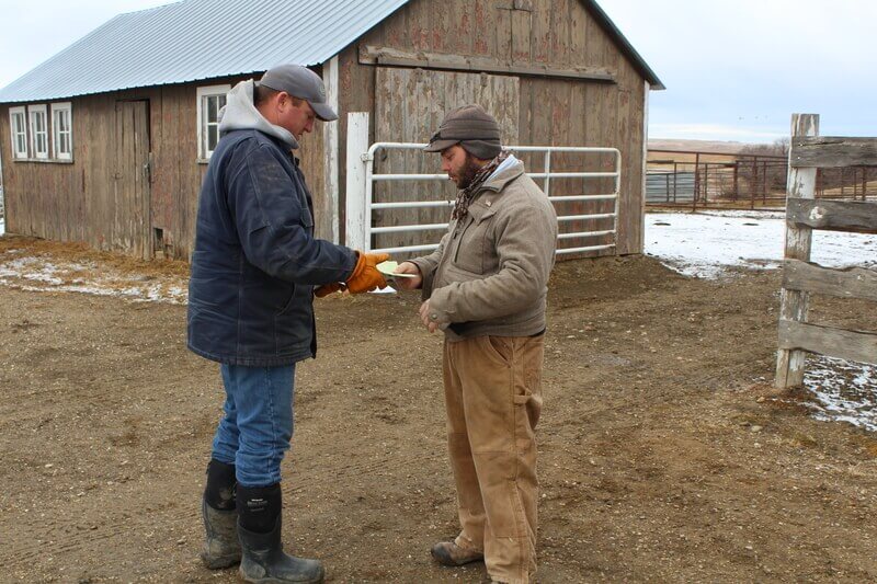 Toby helping a rancher sell your cattle